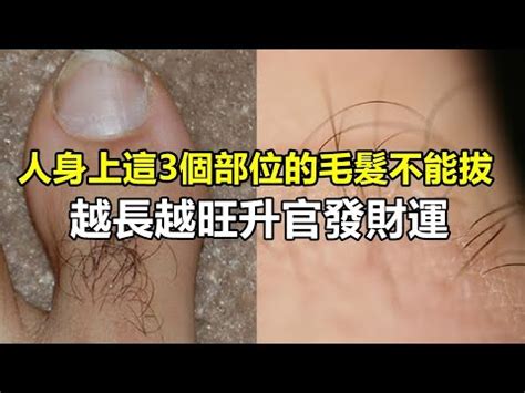 臉上長白毛是什麼意思|【生白毛】露白毛是吉是兇？「臉上或身體長出白毛」究竟代表什。